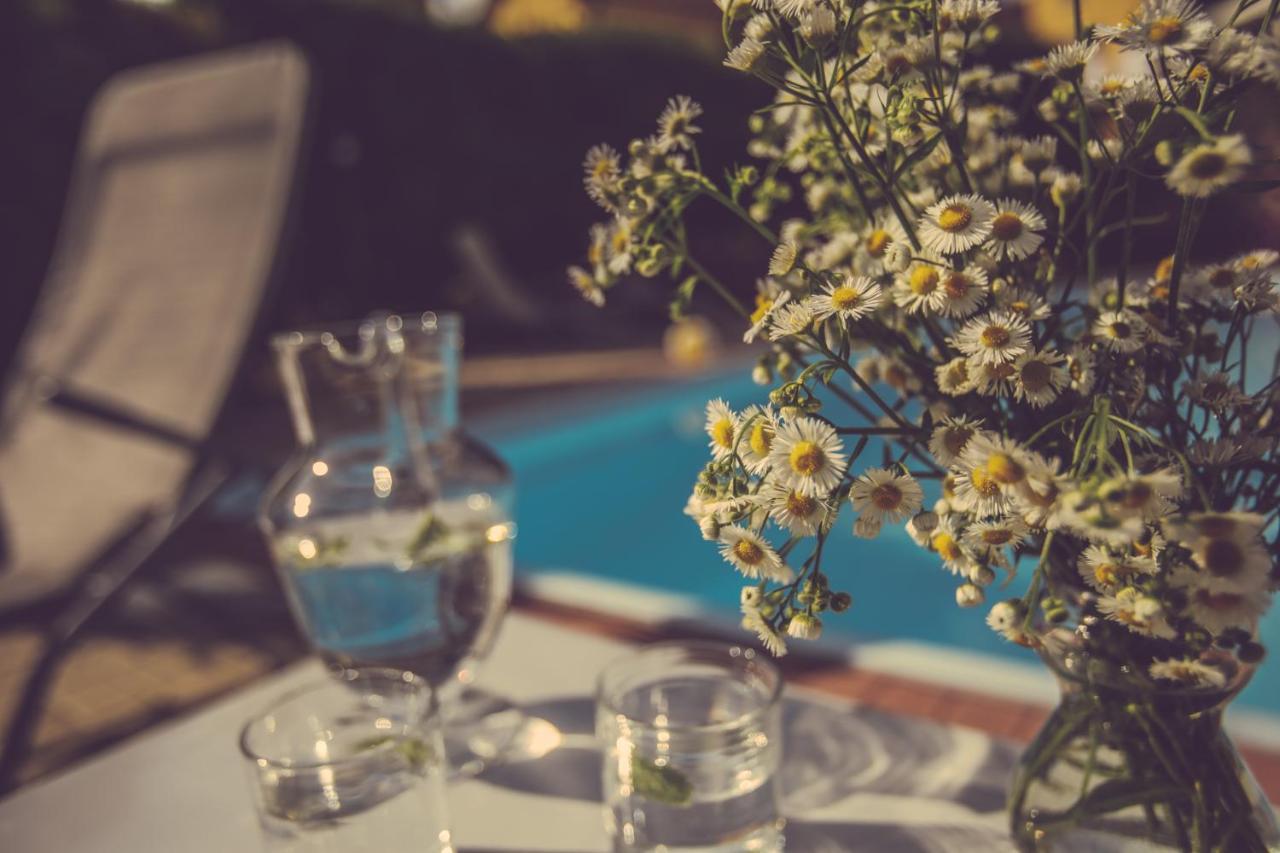 Agriturismo I Suri Άστι Εξωτερικό φωτογραφία
